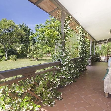 Villa Monserrato - Goelba Porto Azzurro Extérieur photo