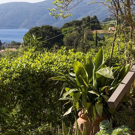 Villa Monserrato - Goelba Porto Azzurro Extérieur photo